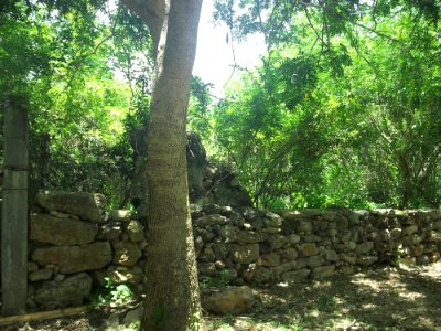 Nok Ak, Yucatán (02)