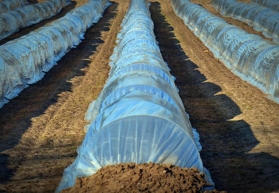 Plan coverage covered growing trays
