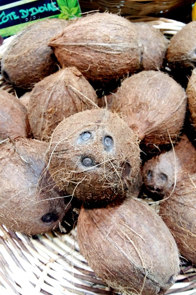 Noix de coco de culture biologique de Côte d'Ivoire, dans une boutique du onzième arrondissement de Paris, France