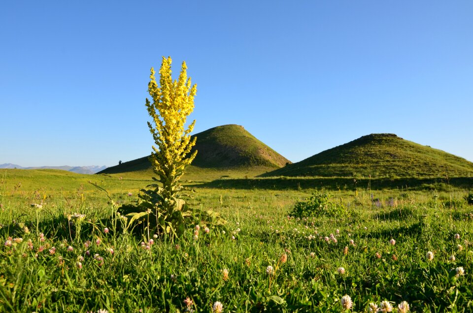 Kaçkars grassland natur