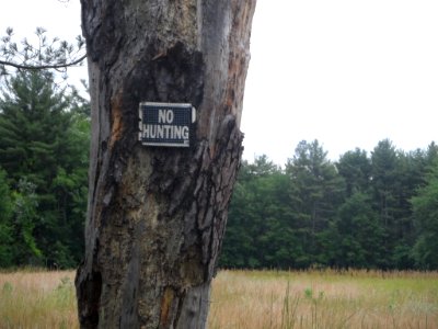 No Hunting Sign 2 photo