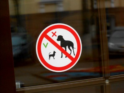 No Big Dog Sign