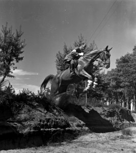 NOC moderne vijfkamp te Amersfoort. Cross-country paardrijden, Bestanddeelnr 903-4875