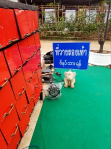 No shoes sign - Wat Hiranyawat - Chiang Rai - 2017-01-02 - 001 photo