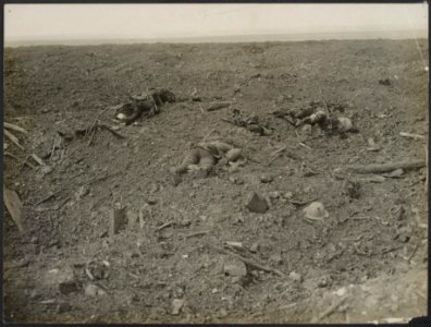 No Mans Land in front of the Canadian lines at Courcelette., Bestanddeelnr 158-2000