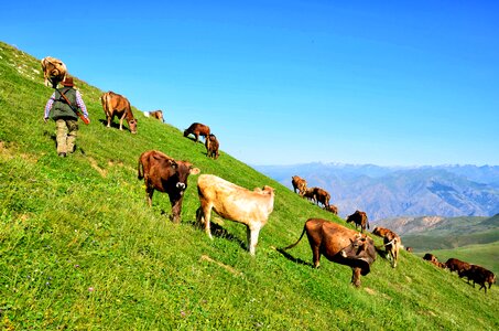 Kaçkars grassland natur photo