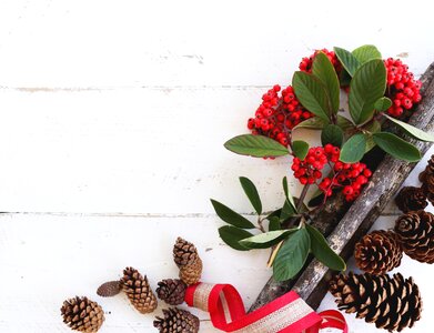 Christmas flatlay pine cone photo