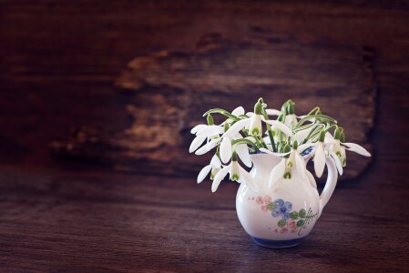 White early bloomer vase