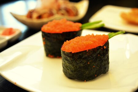 Sushi eating dinner