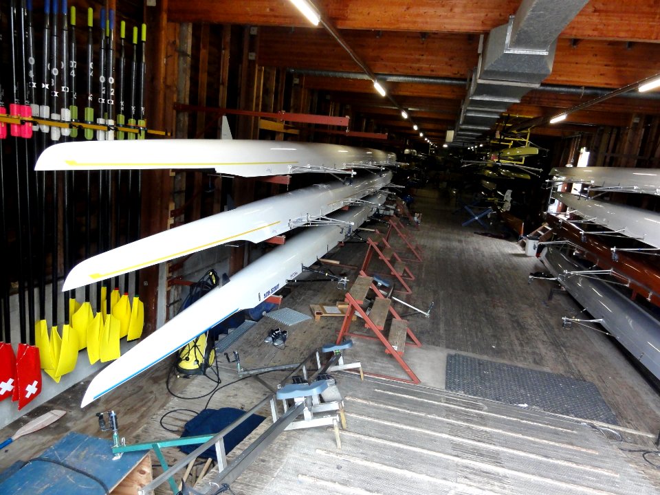 Nijmegen. boten in botenhuis roeivereniging Phocas