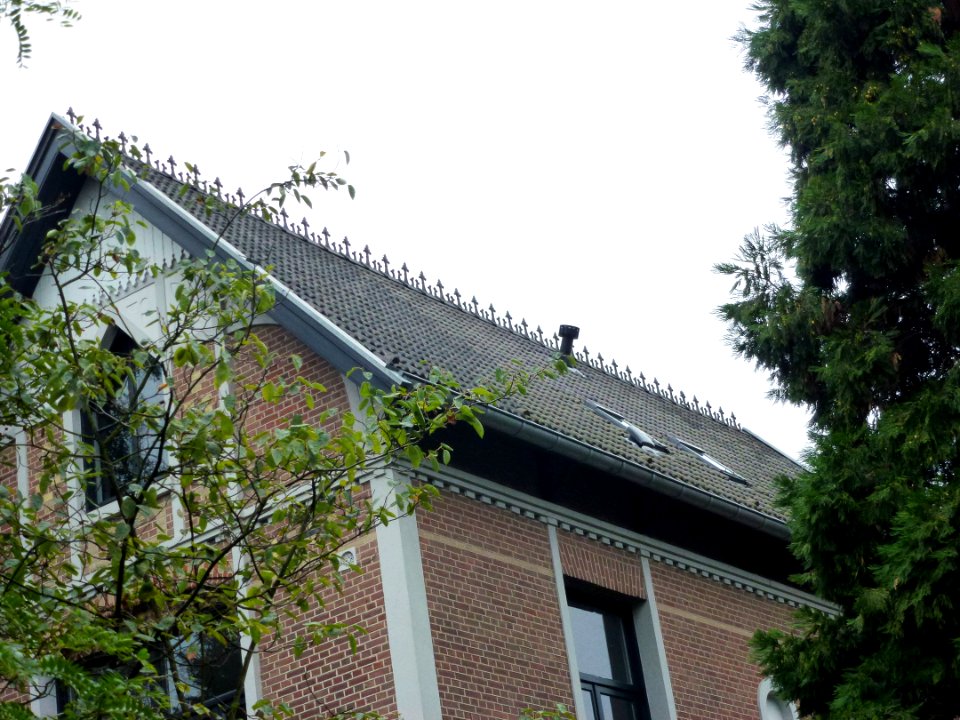 Nijmegen Berg en Dalseweg 84 daknokversiering