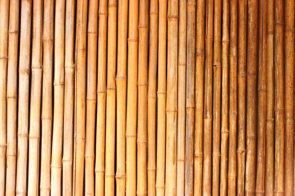 Bamboo texture red