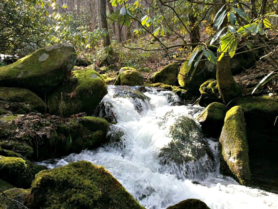 Nature smoky river