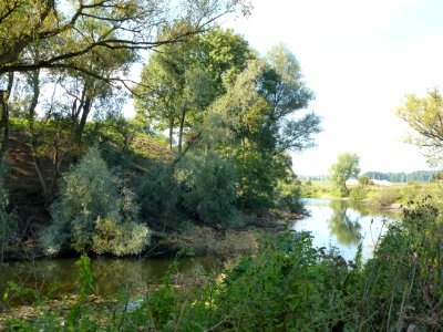 Nijmegen Lent, fort Beneden Lent, omwalling (05)