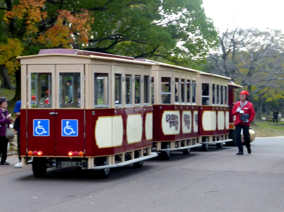NISHIO TRAIN ROAD TRAIN (1)