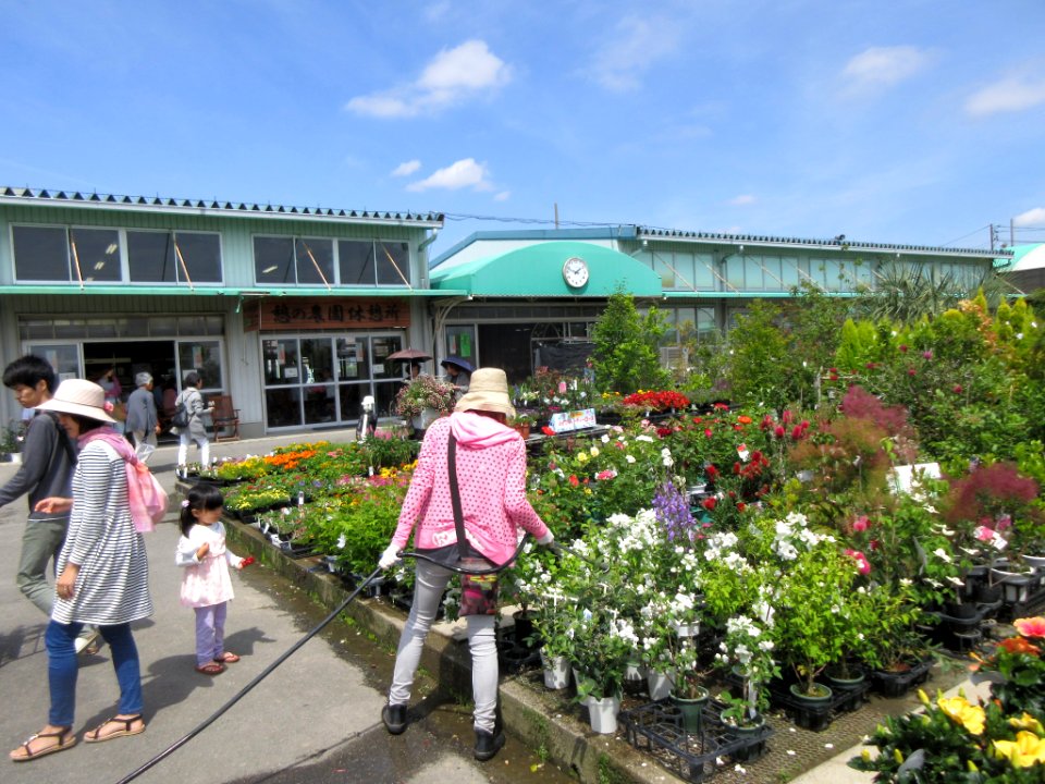 Nishio-Ikoino-Noen-1