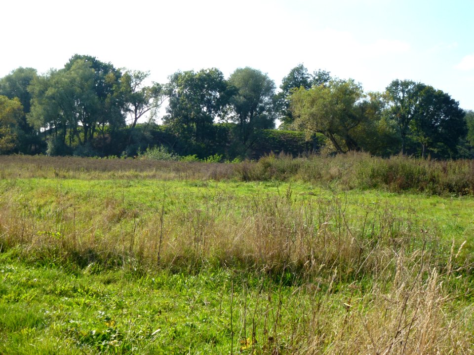Nijmegen Lent, fort Beneden Lent, omwalling (03)