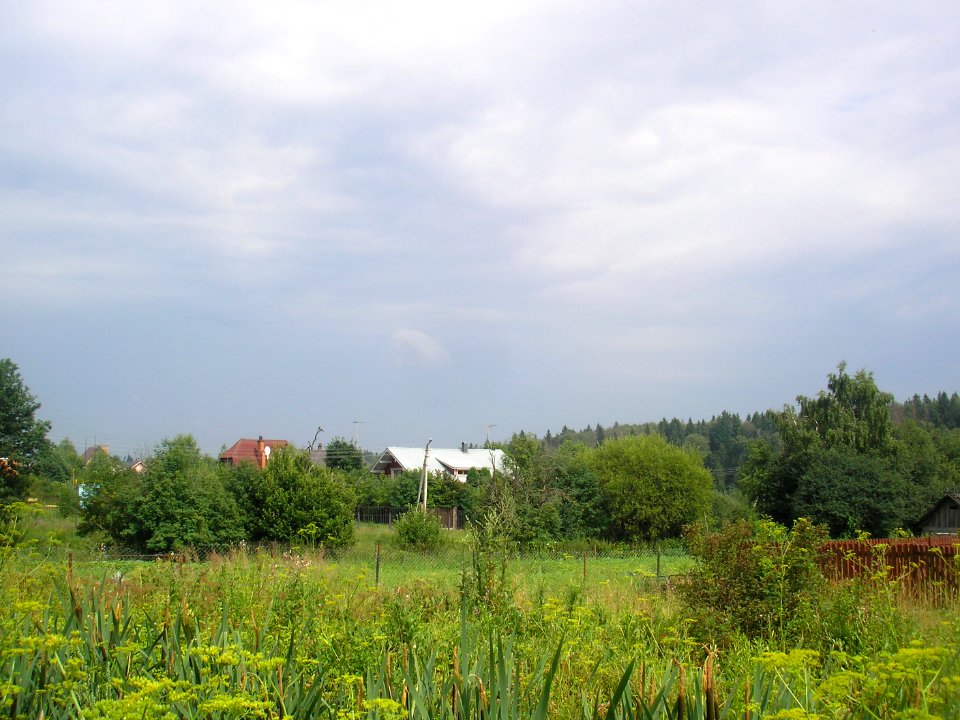 Nikolskoe (Istrinsky District) 10