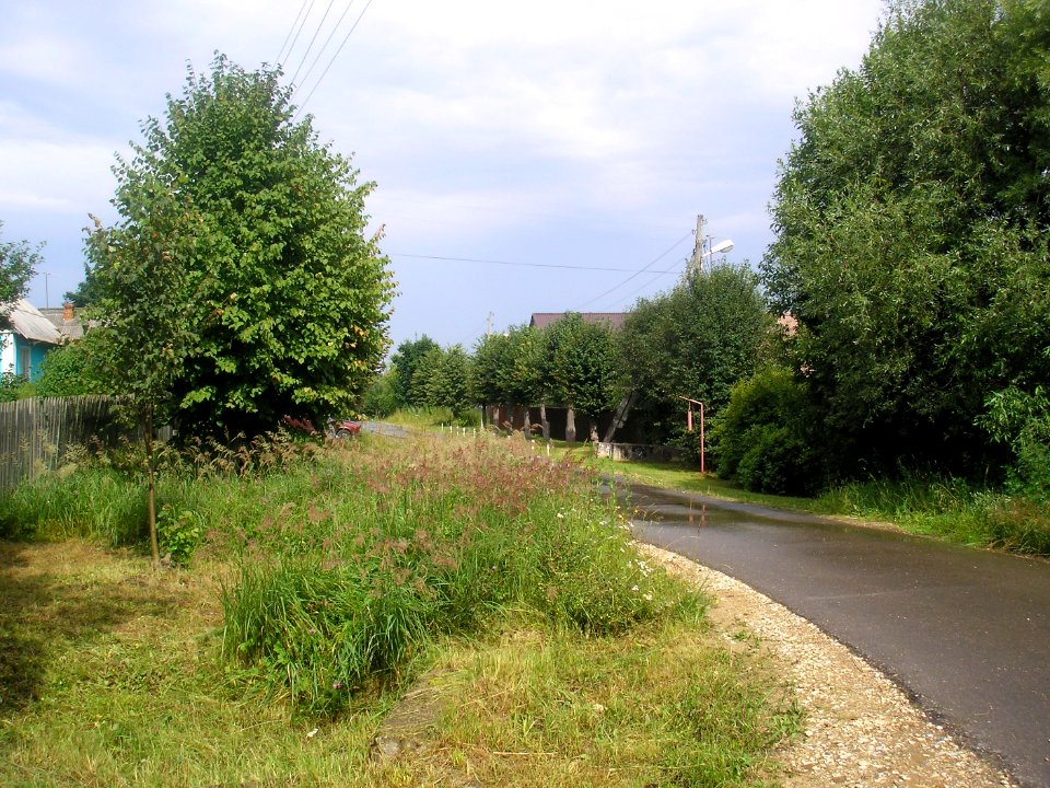 Nikolskoe (Istrinsky District) 12
