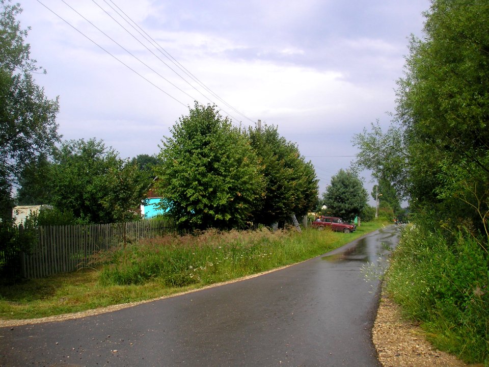 Nikolskoe (Istrinsky District) 1