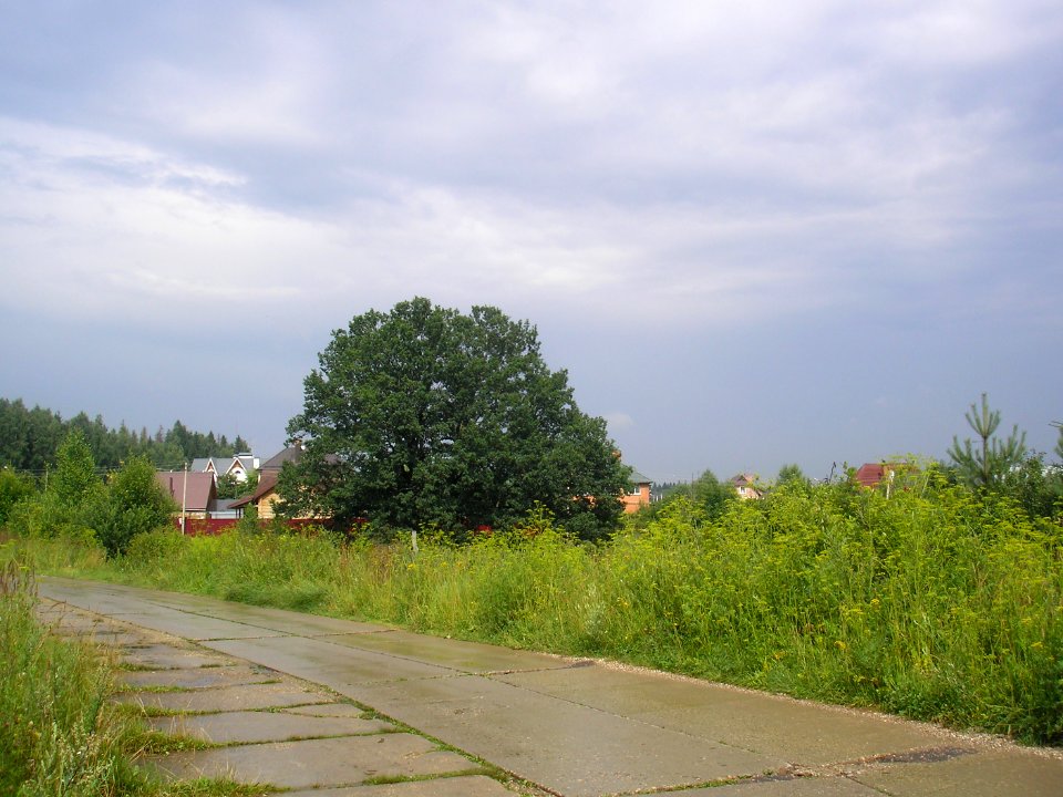 Nikolskoe (Istrinsky District) 8