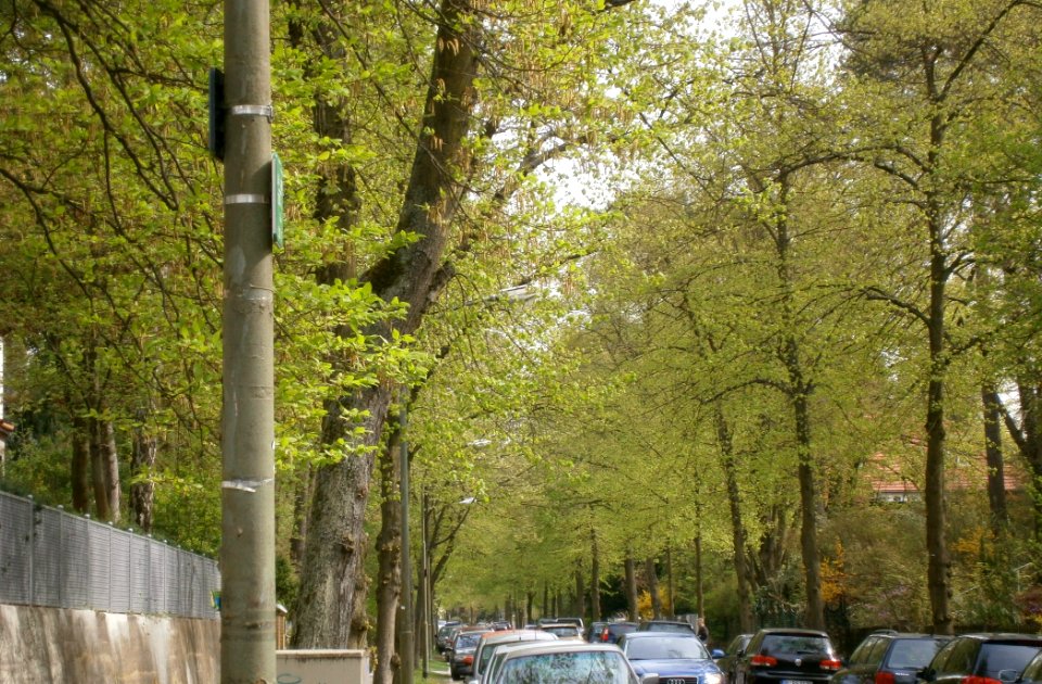 Nikolassee VonLuckStraße P5030308 (2)
