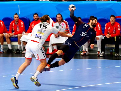 Nikola Karabatic 20171112