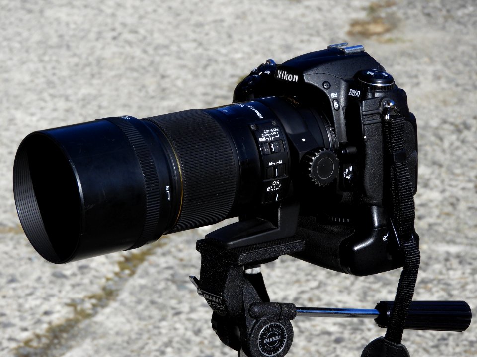 Nikon D300 + SIGMA APO MACRO 150mm F2.8 EX DG OS HSM