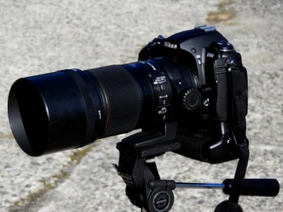 Nikon D300 + SIGMA APO MACRO 150mm F2.8 EX DG OS HSM photo