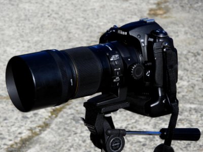 Nikon D300 + SIGMA APO MACRO 150mm F2.8 EX DG OS HSM