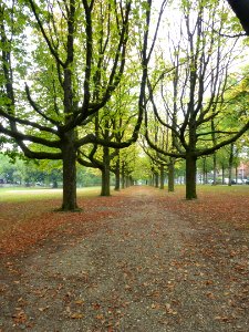 Nijmegen Goffertpark, hoek Slotemaker de Bruïneweg - Weezenlaan
