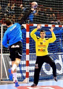 Nikola Mitrevski 2 20141130