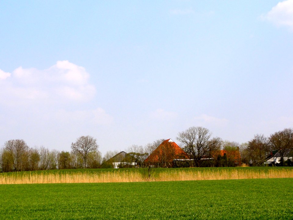 Nijenklooster wierde