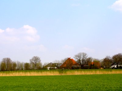 Nijenklooster wierde
