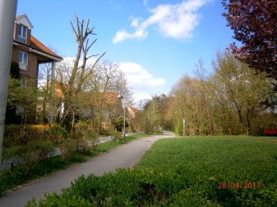 Nikolassee Wiesenschlag Nord