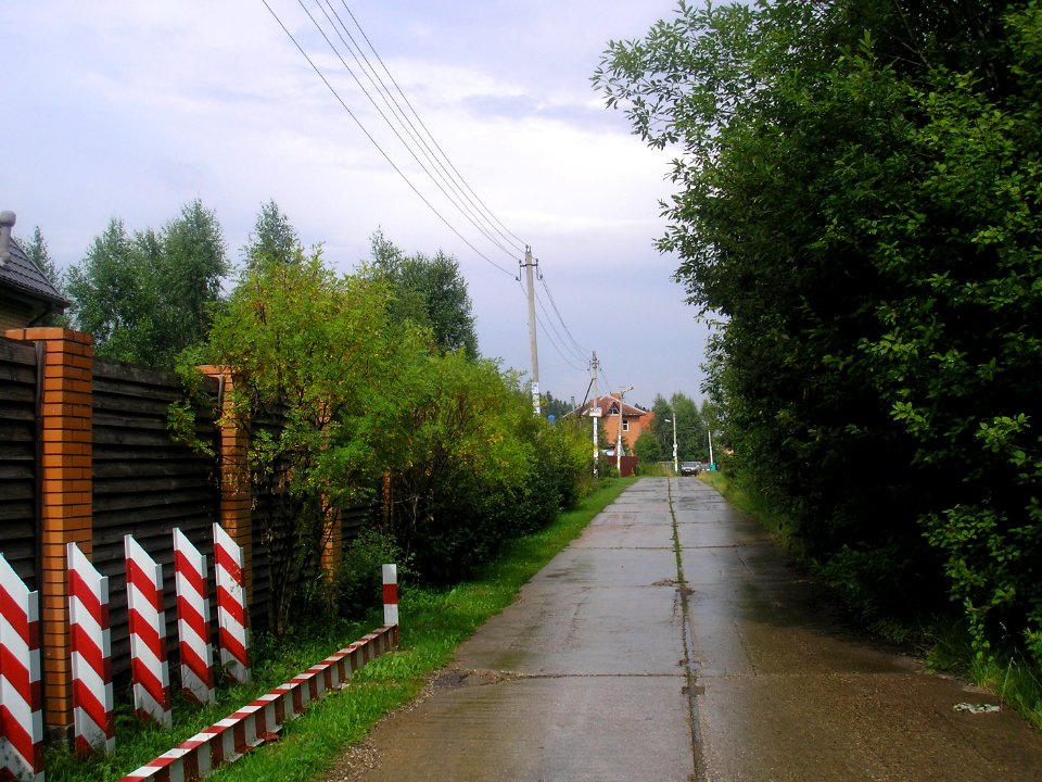 Nikolskoe (Istrinsky District) 3