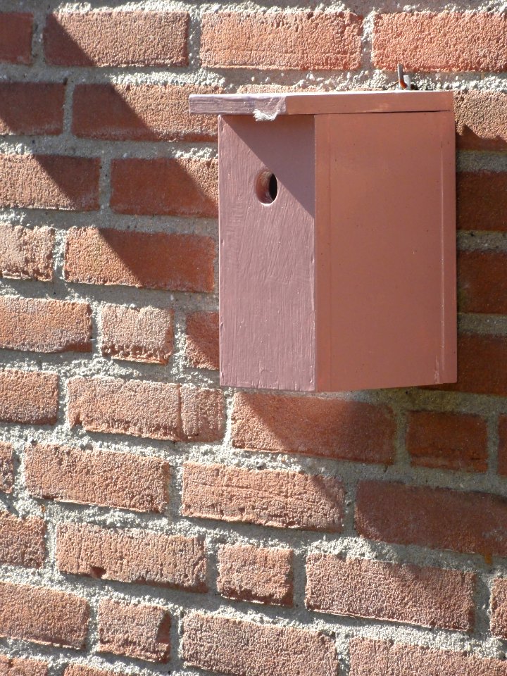Nijmegen Dukenburg, vogelnestkastje aan een muur