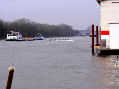 Nijmegen, roeiers-acht bij Phocas botenhuis tussen druk scheepvaartverkeer