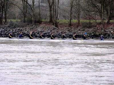 Nijmegen, een roeiers-acht van Phocas op het Maas-Waalkanaal