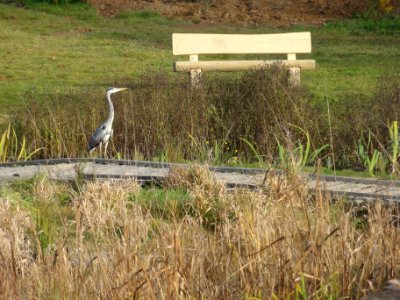 Nijmegen Dukenburg, speeltuin Staddijk 02