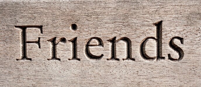 Friendship companion companionship