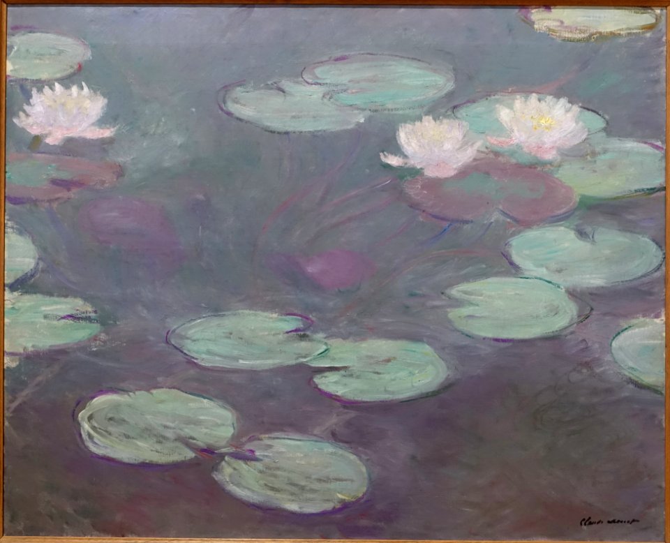 Ninfee rosa by Claude Monet, 1897-1899 - Galleria nazionale d'arte moderna - Rome, Italy - DSC05472