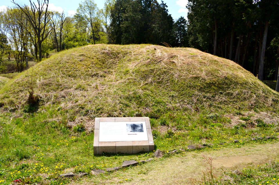 Niizawa Senzuka Kofun Group-81, funkyu