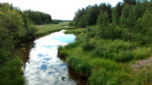 Nimisjoki Vaala photo