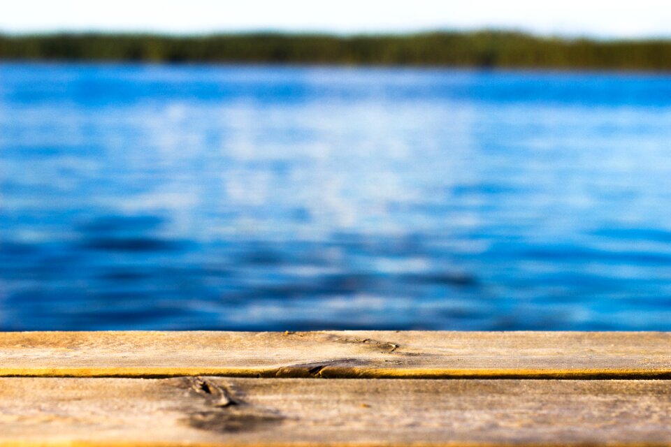 Sea water wood