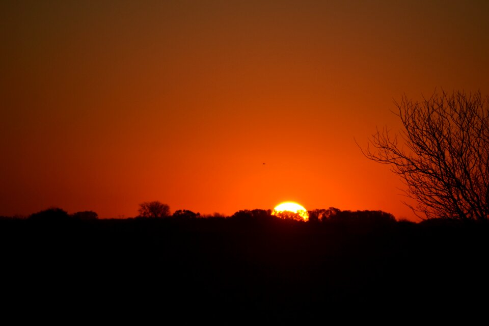 Orange sky without clouds silhouettes