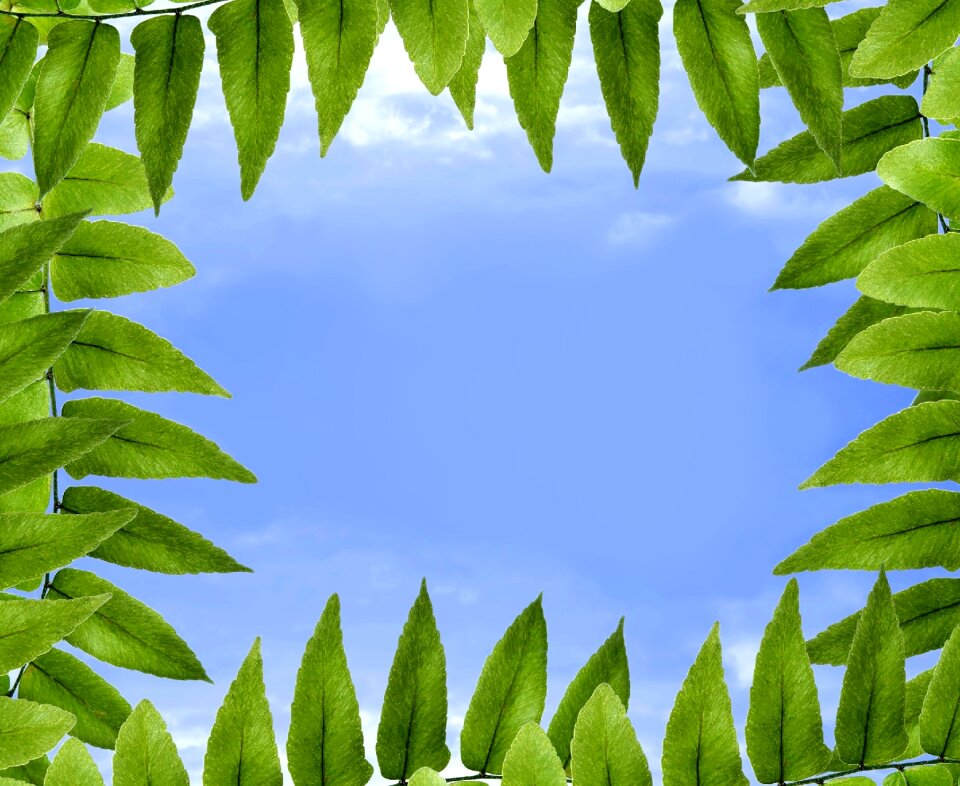 Blue cloud clouds
