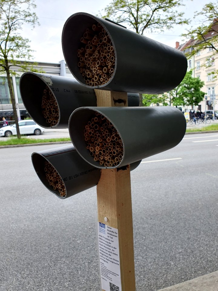 Nisthilfe Wildbienen Gasteig, München 2