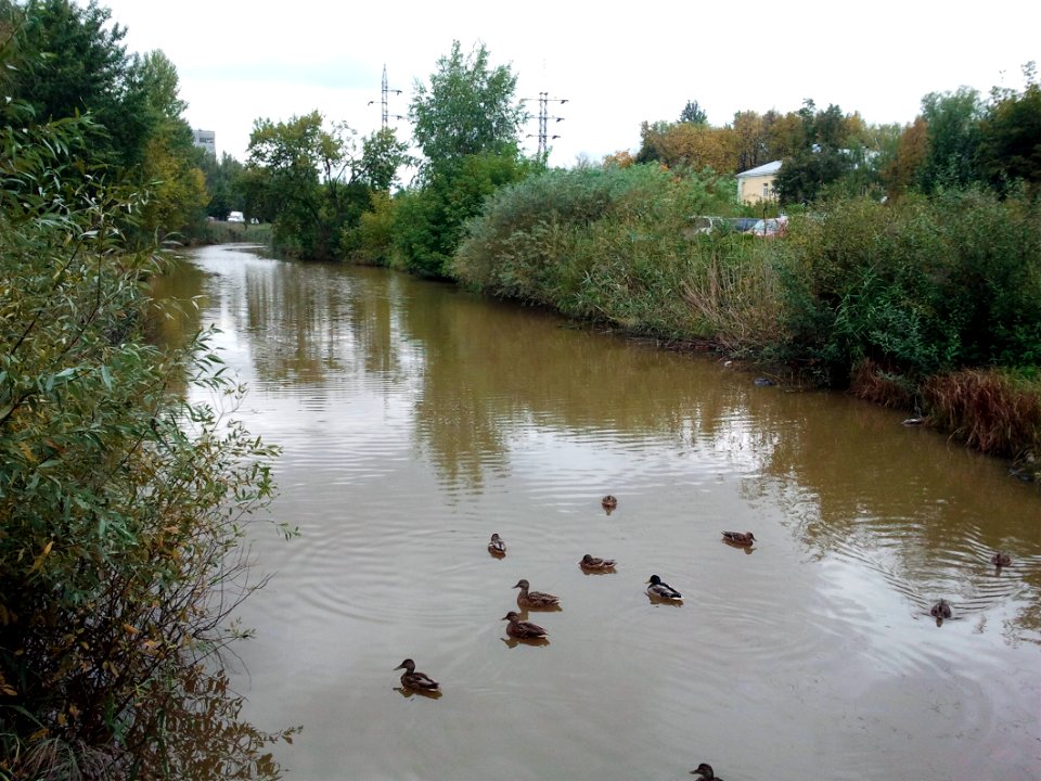 Nizhny Novgorod. Levinka River (2)