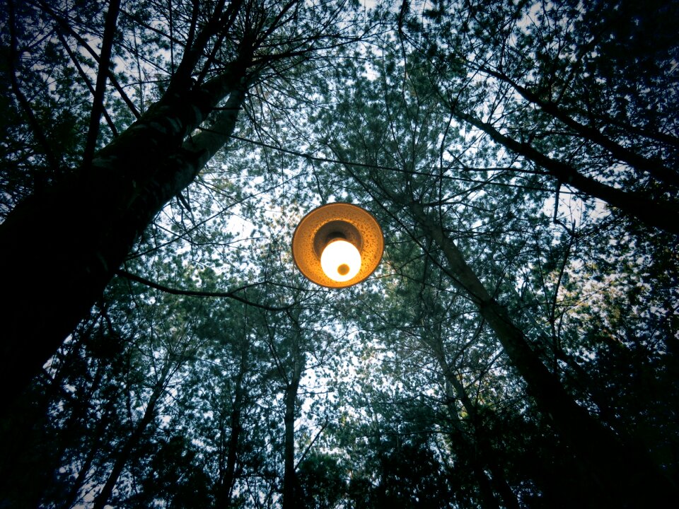 Lamp light electricity